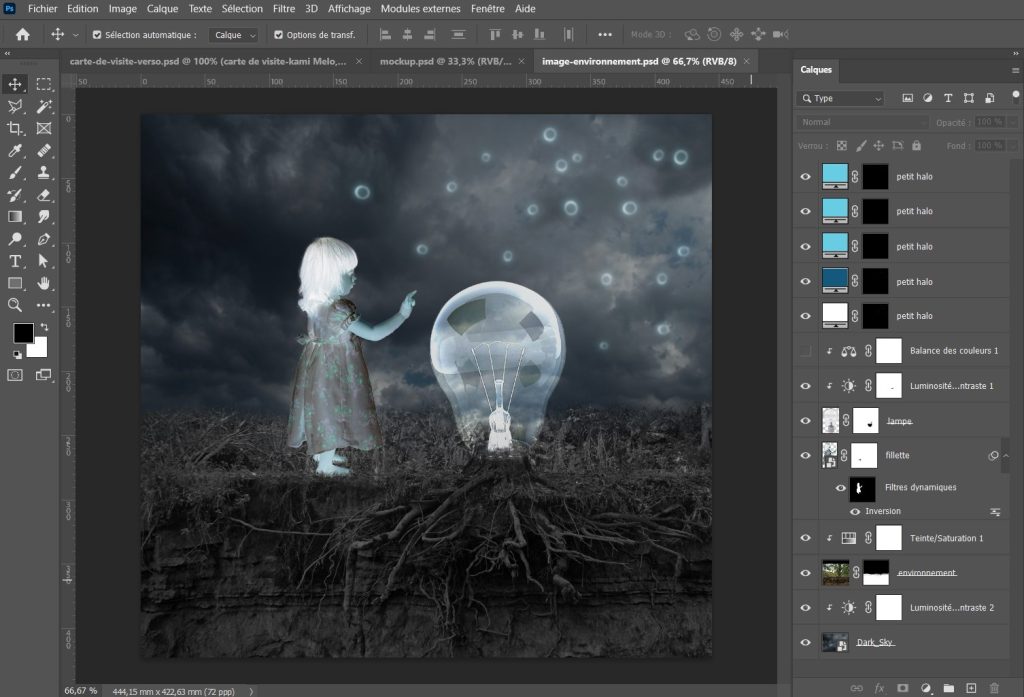 réalisation d'un photomontage